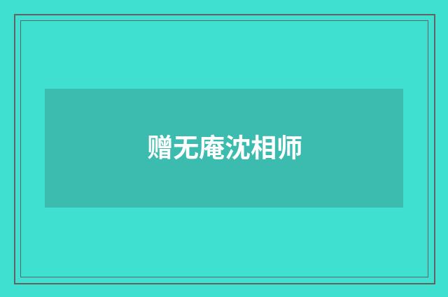 赠无庵沈相师