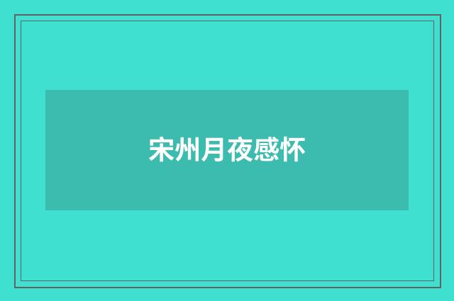 宋州月夜感怀