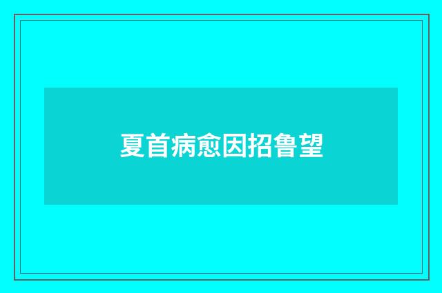 夏首病愈因招鲁望