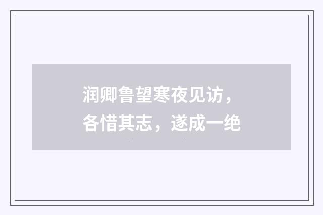 润卿鲁望寒夜见访，各惜其志，遂成一绝