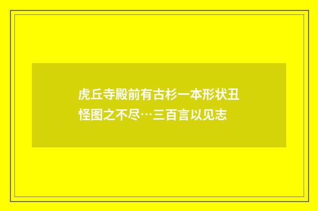 虎丘寺殿前有古杉一本形状丑怪图之不尽…三百言以见志