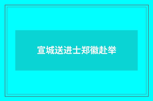 宣城送进士郑徽赴举