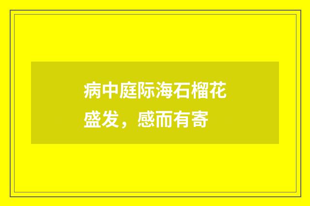 病中庭际海石榴花盛发，感而有寄