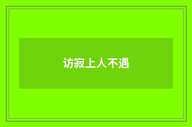访寂上人不遇