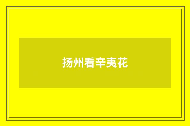 扬州看辛夷花