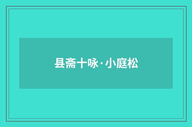 县斋十咏·小庭松