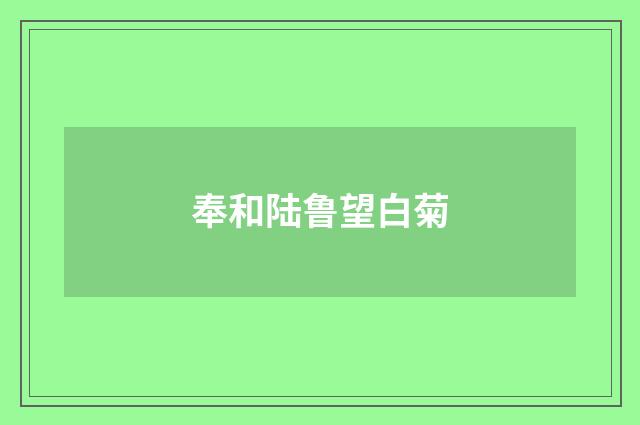 奉和陆鲁望白菊