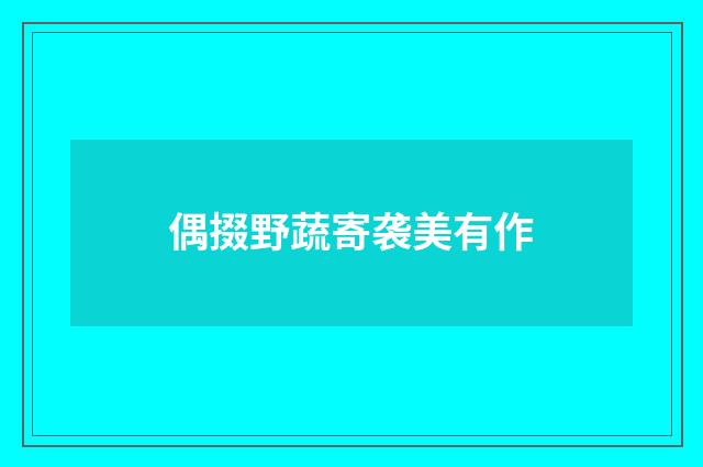 偶掇野蔬寄袭美有作