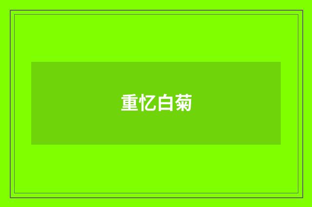 重忆白菊