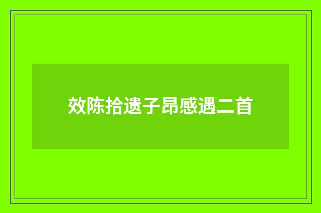 效陈拾遗子昂感遇二首