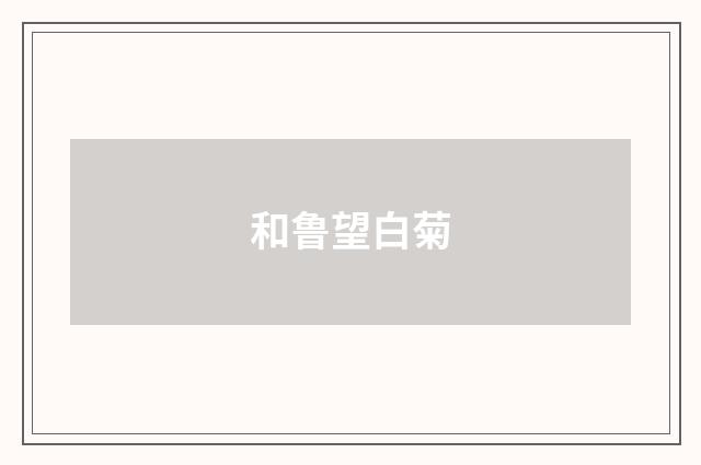 和鲁望白菊