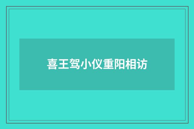 喜王驾小仪重阳相访