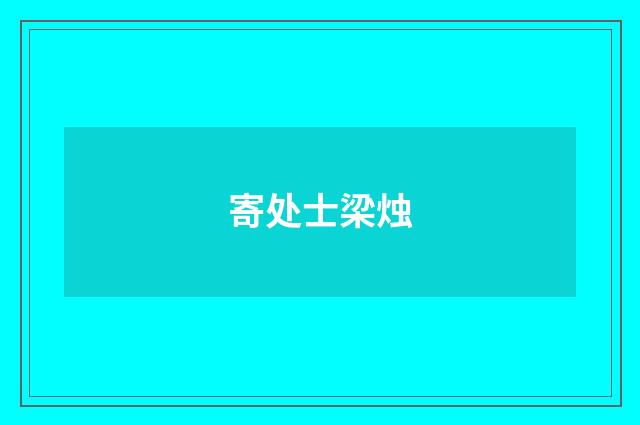 寄处士梁烛