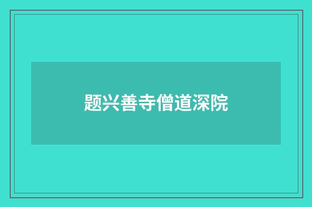 题兴善寺僧道深院
