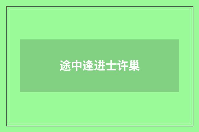 途中逢进士许巢