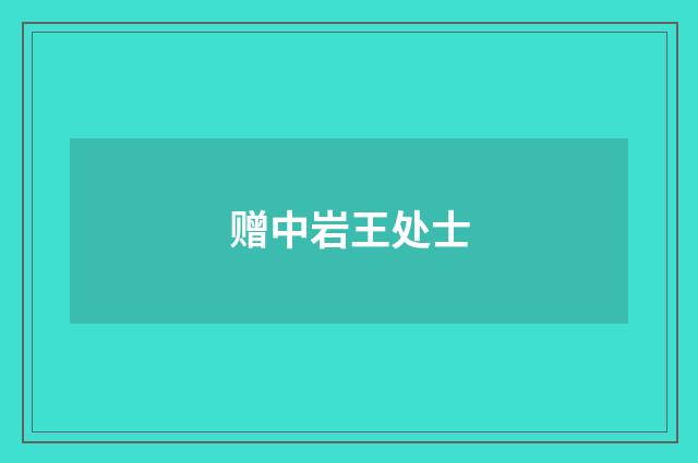 赠中岩王处士