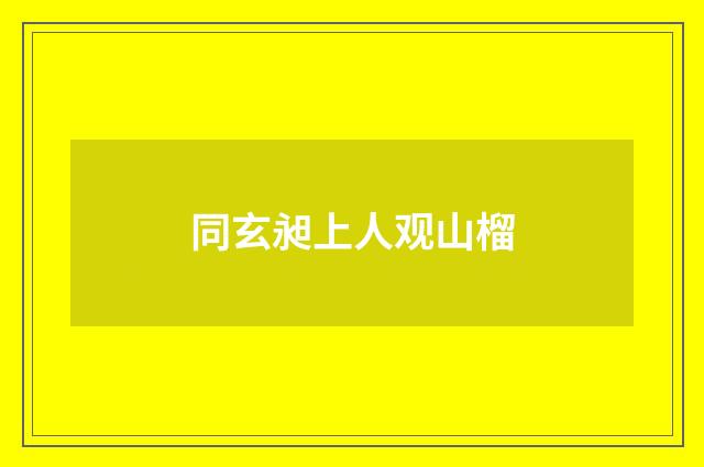 同玄昶上人观山榴