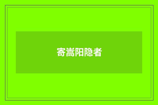 寄嵩阳隐者