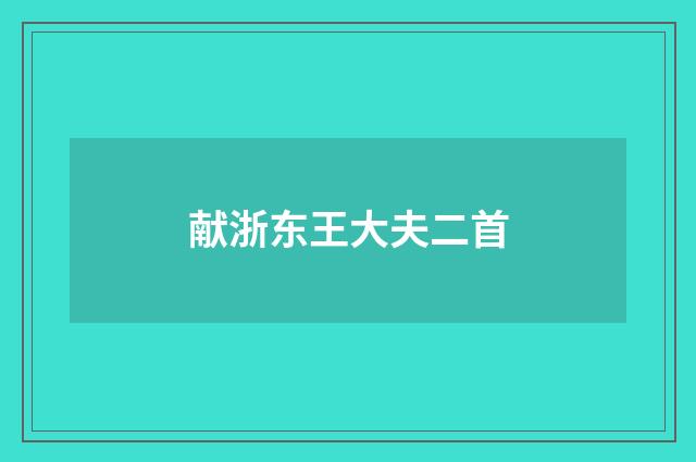 献浙东王大夫二首