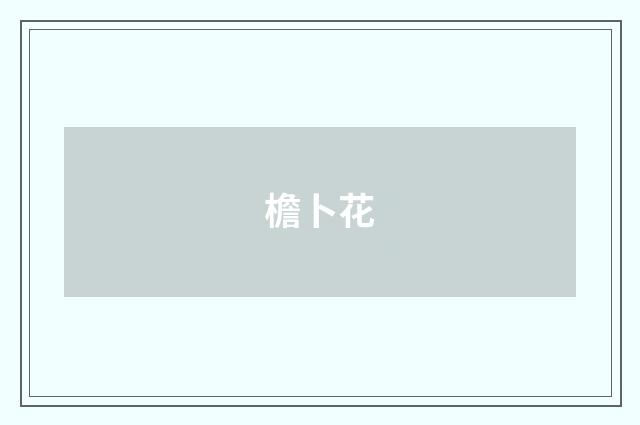 檐卜花
