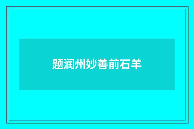 题润州妙善前石羊