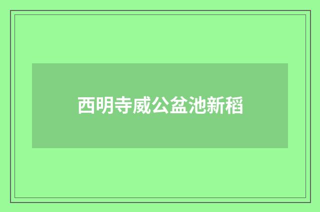 西明寺威公盆池新稻