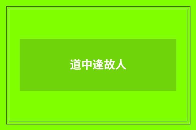 道中逢故人