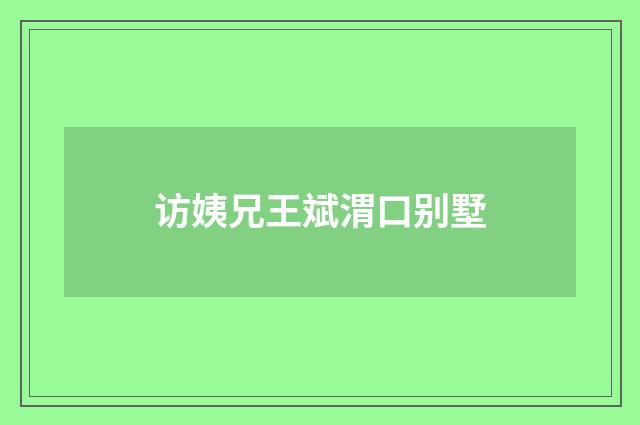 访姨兄王斌渭口别墅