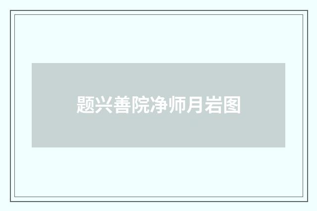 题兴善院净师月岩图