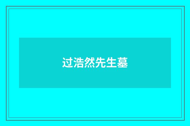 过浩然先生墓