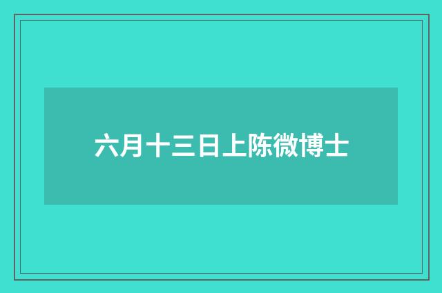 六月十三日上陈微博士