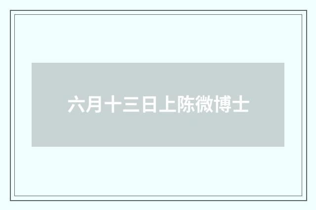 六月十三日上陈微博士