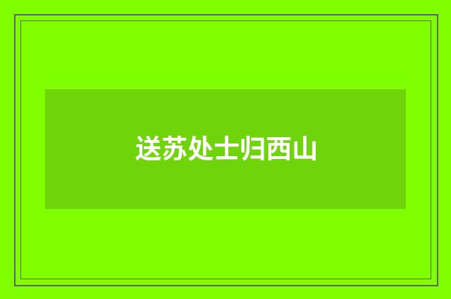 送苏处士归西山