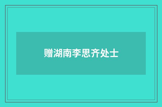 赠湖南李思齐处士