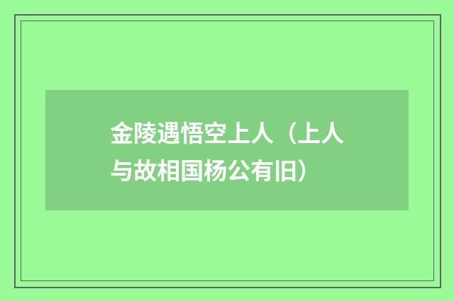 金陵遇悟空上人（上人与故相国杨公有旧）