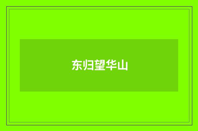 东归望华山