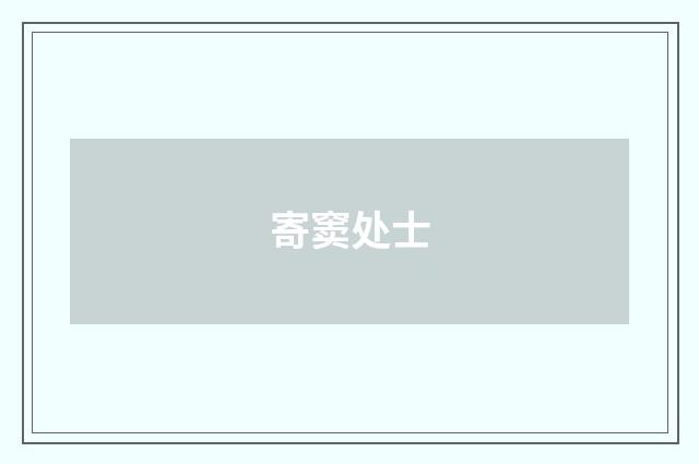 寄窦处士