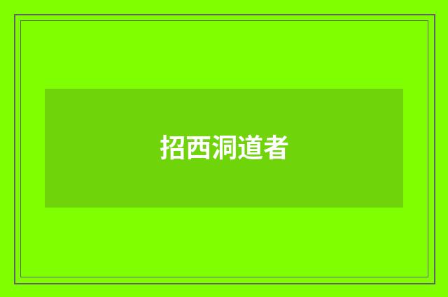 招西洞道者