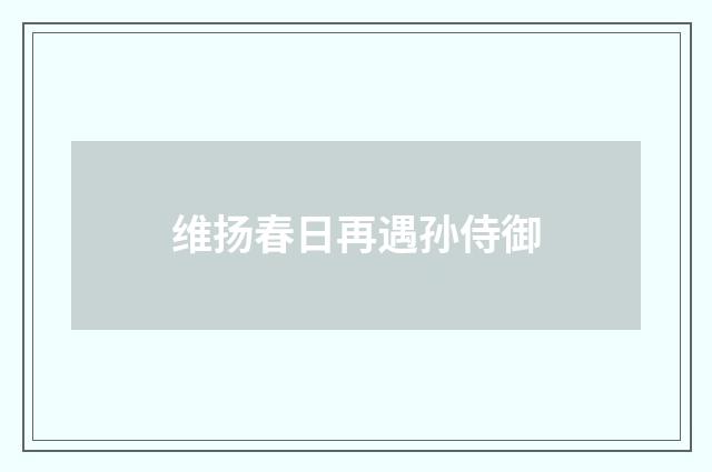 维扬春日再遇孙侍御