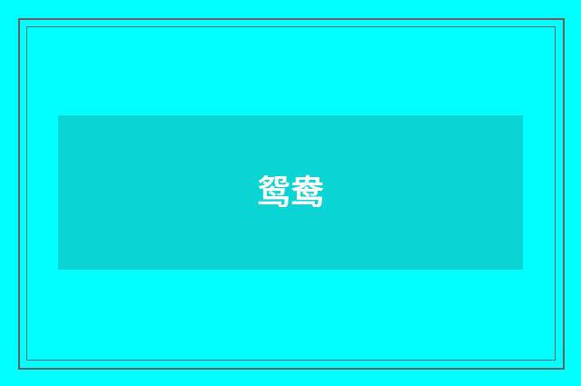 鸳鸯