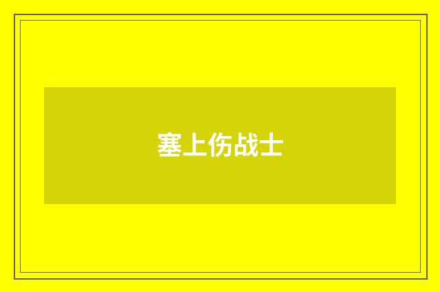 塞上伤战士