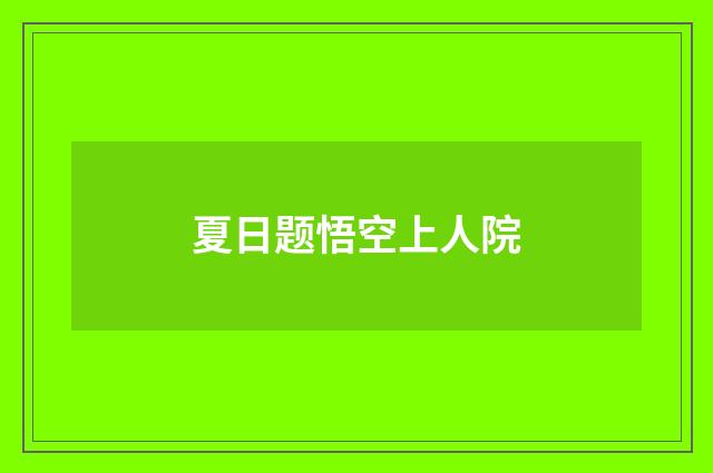 夏日题悟空上人院