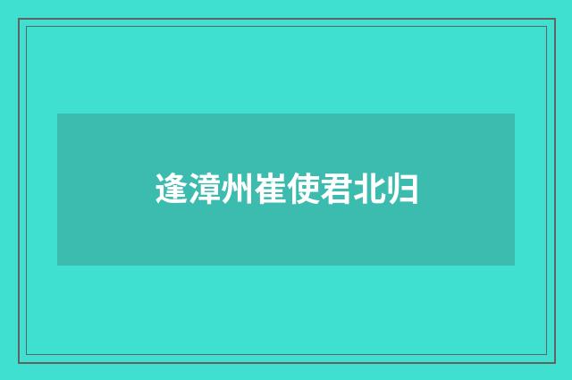 逢漳州崔使君北归