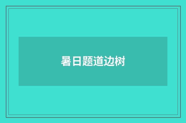 暑日题道边树