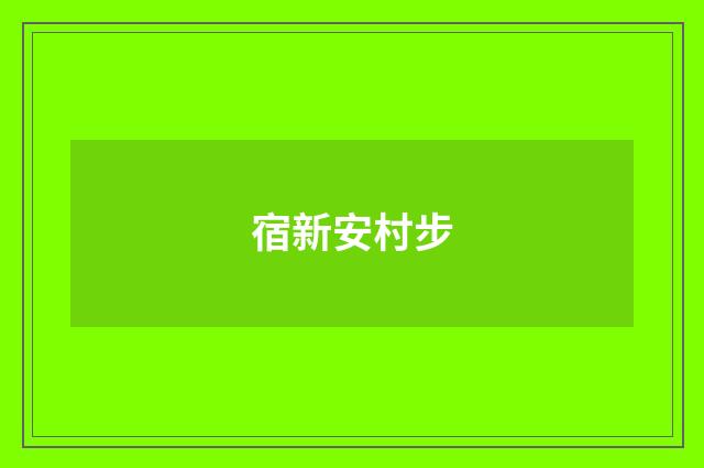 宿新安村步