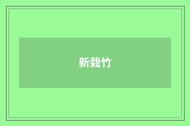 新栽竹