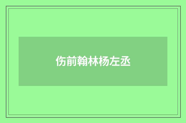 伤前翰林杨左丞