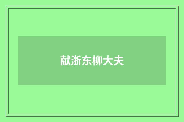 献浙东柳大夫