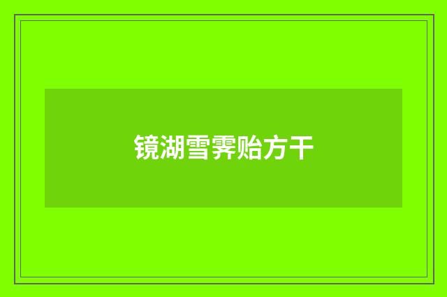 镜湖雪霁贻方干
