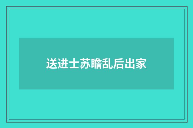送进士苏瞻乱后出家